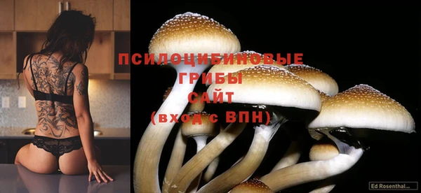ГАЛЛЮЦИНОГЕННЫЕ ГРИБЫ Армянск