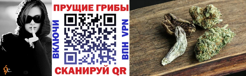 Псилоцибиновые грибы Psilocybine cubensis  Солигалич 